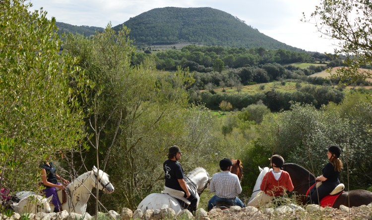 Excursiones con un auténtico caballo Español