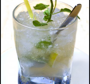 VINICIUS COCKTAIL MOJITO