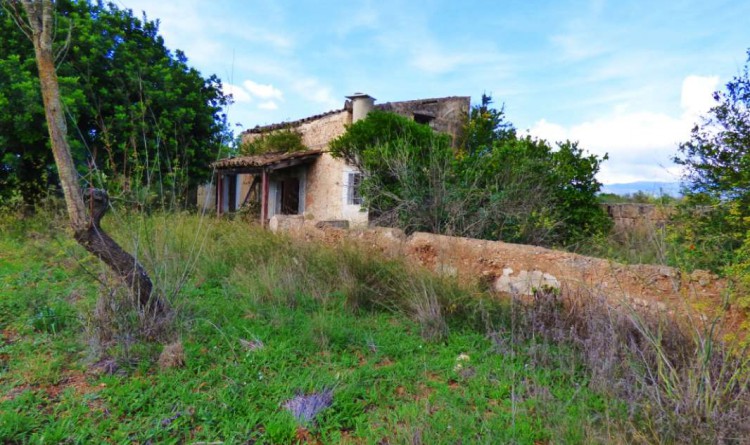 TERRENOS SOUL HOUSING: ESPECTACULAR TERRENO EDIFICABLE EN SANTA EUGENIA.