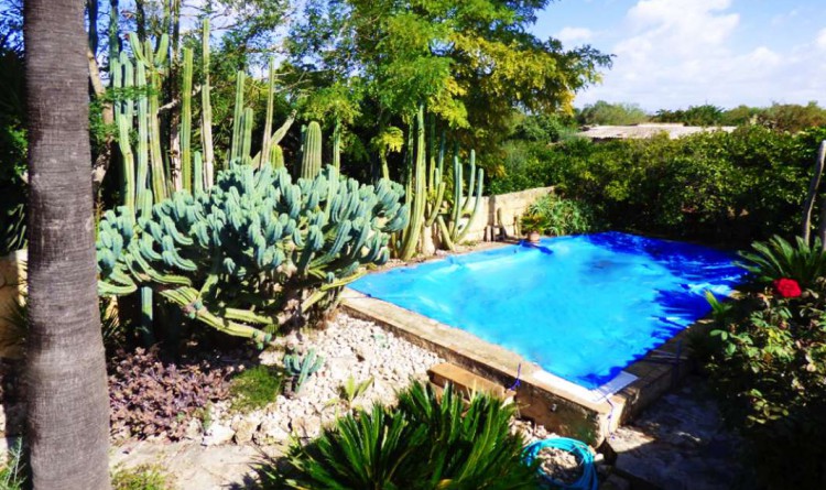 CASAS DE PUEBLO SOUL HOUSING: PRECIOSA CASA DE PUEBLO CON JARDÍN Y PISCINA.