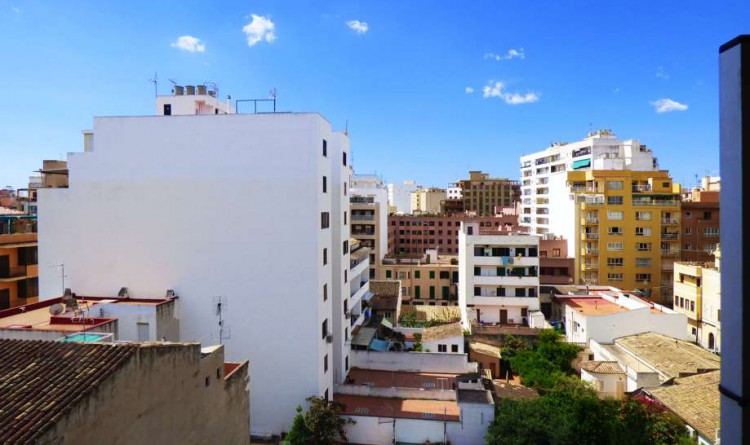 PISOS CENTRICOS PALMA SOUL HOUSING: ACOGEDOR Y LUMINOSO PISO ZONA CRUZ ROJA.