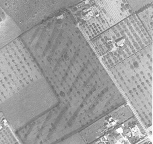 Scanned-image-1.jpg