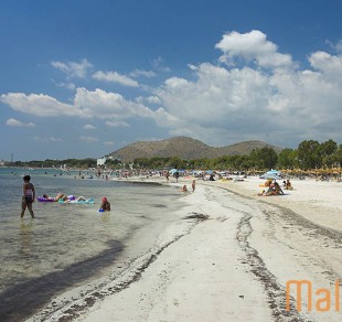 Platja d´Alcúdia