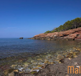 Platja de Son Bunyola