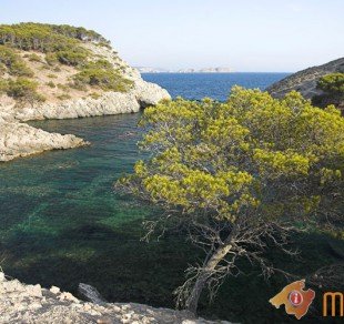 Caló d´en Monjo