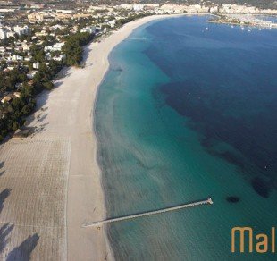 Platja d´Alcúdia