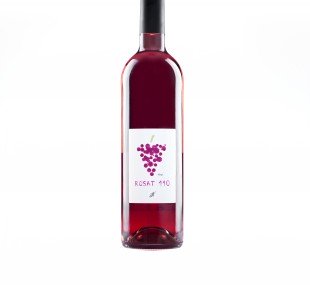 rosat 110 14 alta resol.jpg